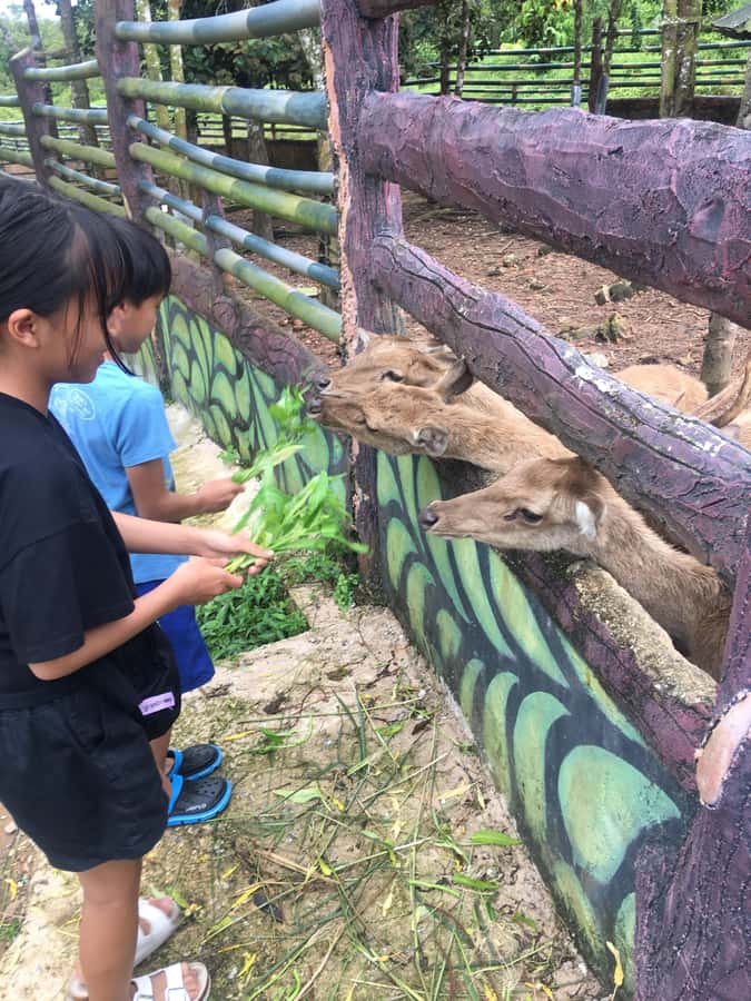 Safari Lagoi & Eco Farm Bintan - The conservation question