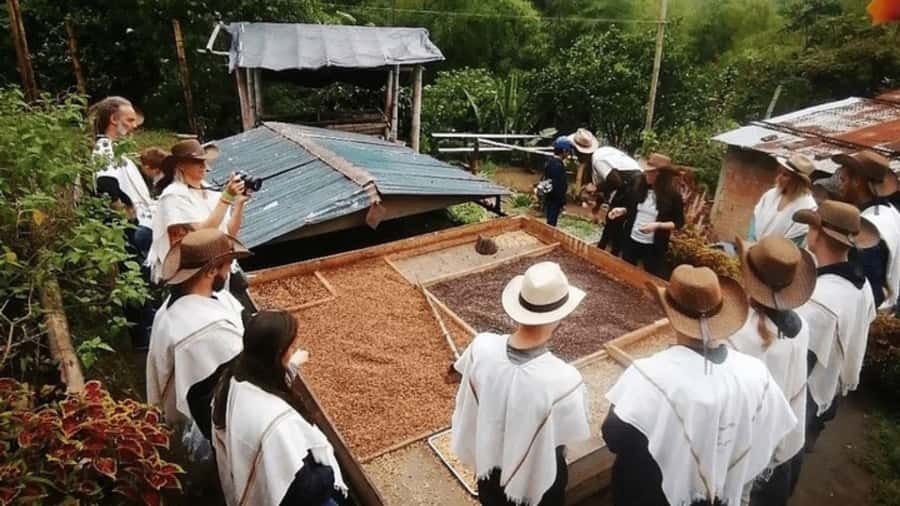 Salento and Cócora Tour + Coffee Farm from Pereira/Armenia - Why this day works from Pereira or Armenia