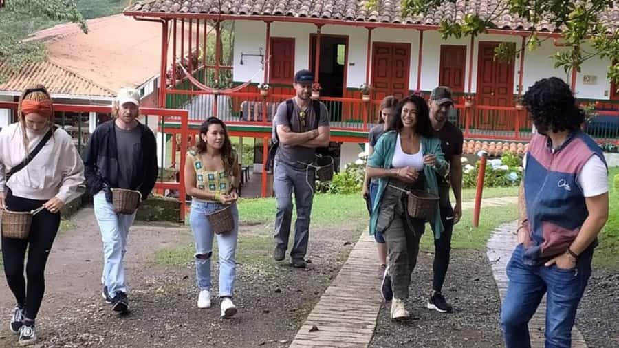 Salento and Cócora Tour + Coffee Farm from Pereira/Armenia - Inside the coffee farm