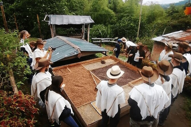 Salento and Cócora Tour plus Coffee Farm from Pereira or Armenia - Finca Buenos Aires and the coffee lesson