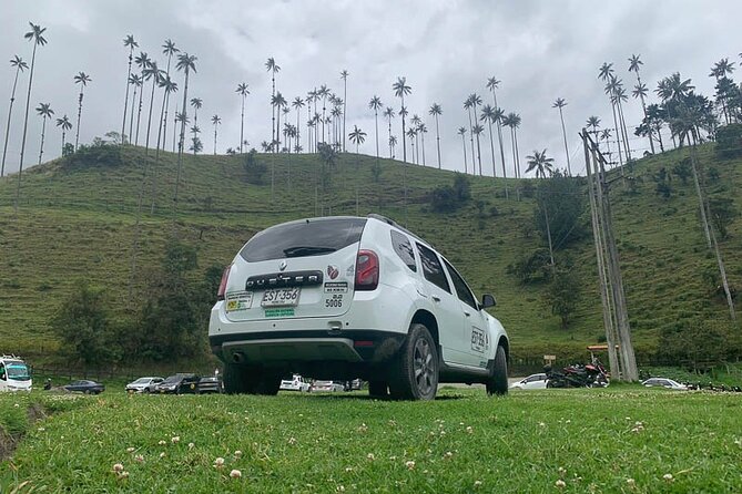 Salento and Cócora Tour plus Coffee Farm from Pereira or Armenia - What the guide adds to the day