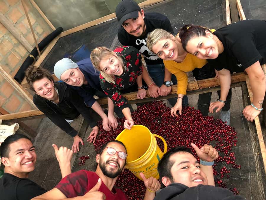 Salento: Coffee Farm Tour with Tasting - Why this farm visit is worth your time