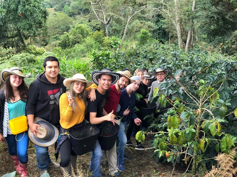 Salento: Coffee Farm Tour with Tasting - A short orientation in Salento