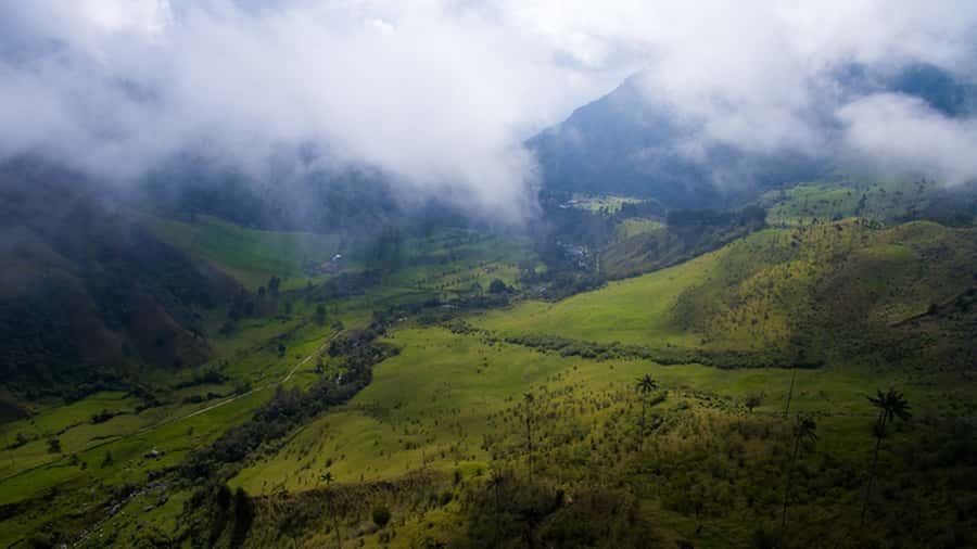Salento: Private Cocora Valley, Salento & Coffee Farm Tour - Should you book the Cocora Valley and coffee tour?