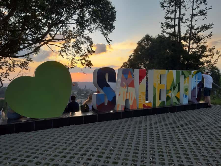 Salento: Private Cocora Valley, Salento & Coffee Farm Tour - Why this Cocora Valley and coffee combination works