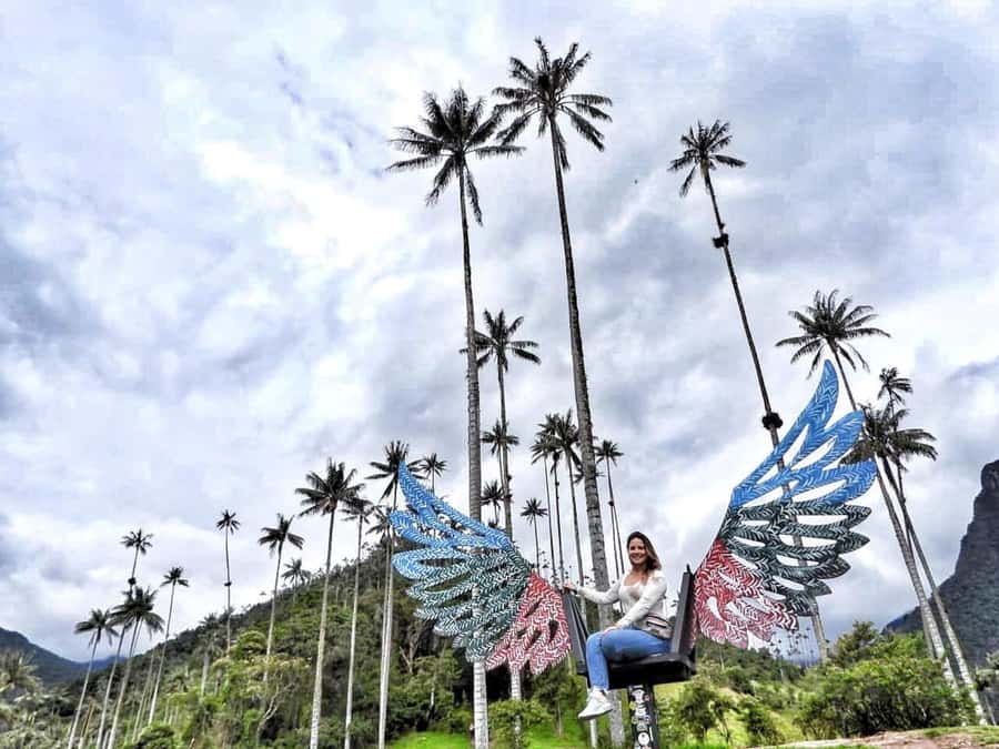 Salento: Private Cocora Valley, Salento & Coffee Farm Tour - The hike: beautiful, physical, and weather-dependent