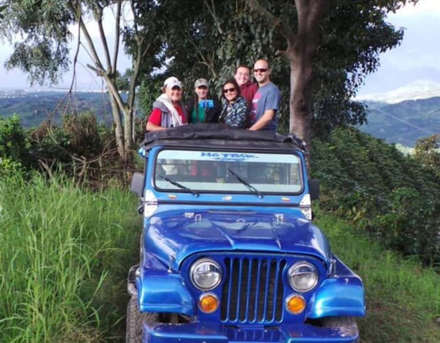 Salento: Private Cocora Valley, Salento & Coffee Farm Tour - What the private format adds
