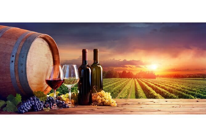San Gimignano and Vernaccia Wine Tour with Lunch at Farm - Two wine estates and two tastings