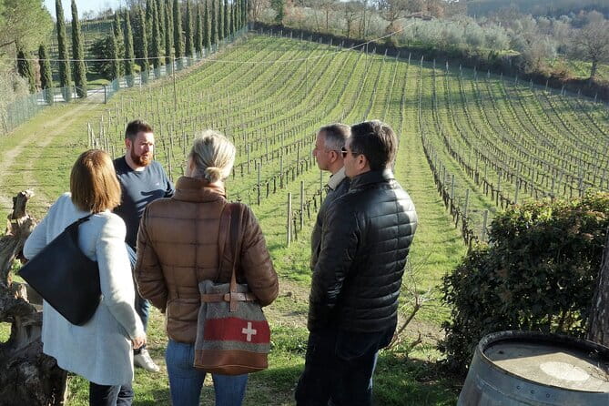 San Gimignano and Vernaccia Wine Tour with Lunch at Farm - The Florence jogging information needs checking