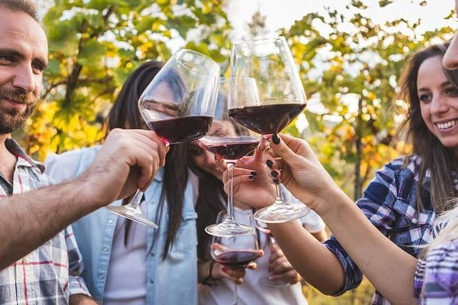 San Gimignano and Vernaccia Wine Tour with Lunch at Farm - Who will get the most from this tour