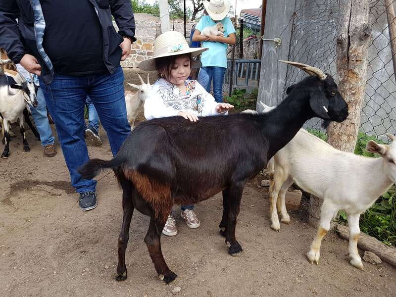 San Miguel de Allende: Full-Day Ranch Adventure - The Family Factor