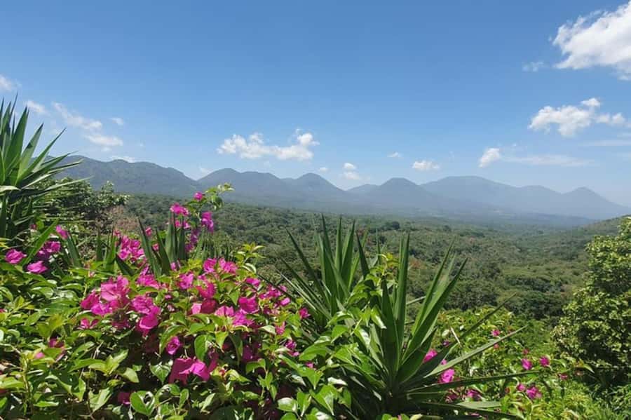 San Salvador: Full Day Ruta de Las Flores and Coffee Farm - Starting at Nahuizalco Municipal Market