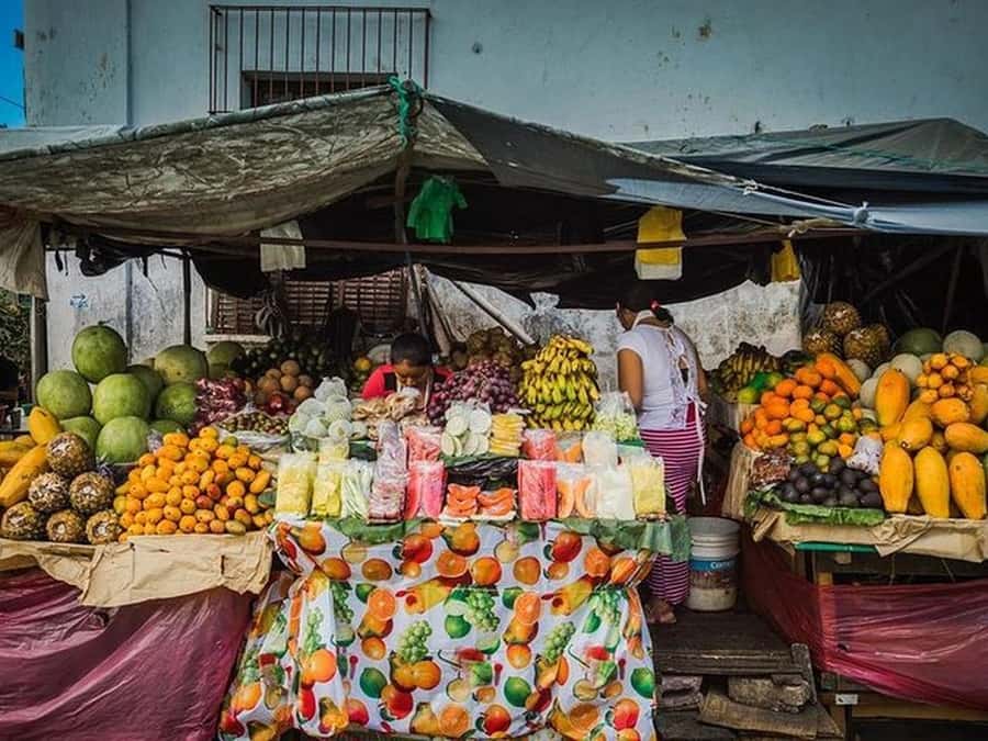 San Salvador: Full Day Ruta de Las Flores and Coffee Farm - Juayúa, churches, and colonial streets