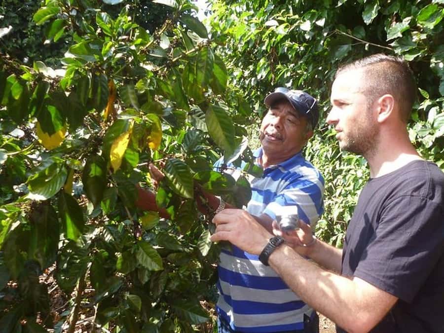 San Salvador: Full Day Ruta de Las Flores and Coffee Farm - Concepción de Ataco’s murals and weekend food