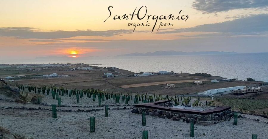 Santorini: Private Agri-Educational Visit to an Organic Farm - Key points at a glance