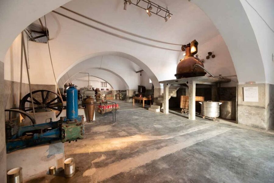 Santorini: Unexplored Culture Day Trip with Farm Visit - Who will enjoy this Santorini day trip?