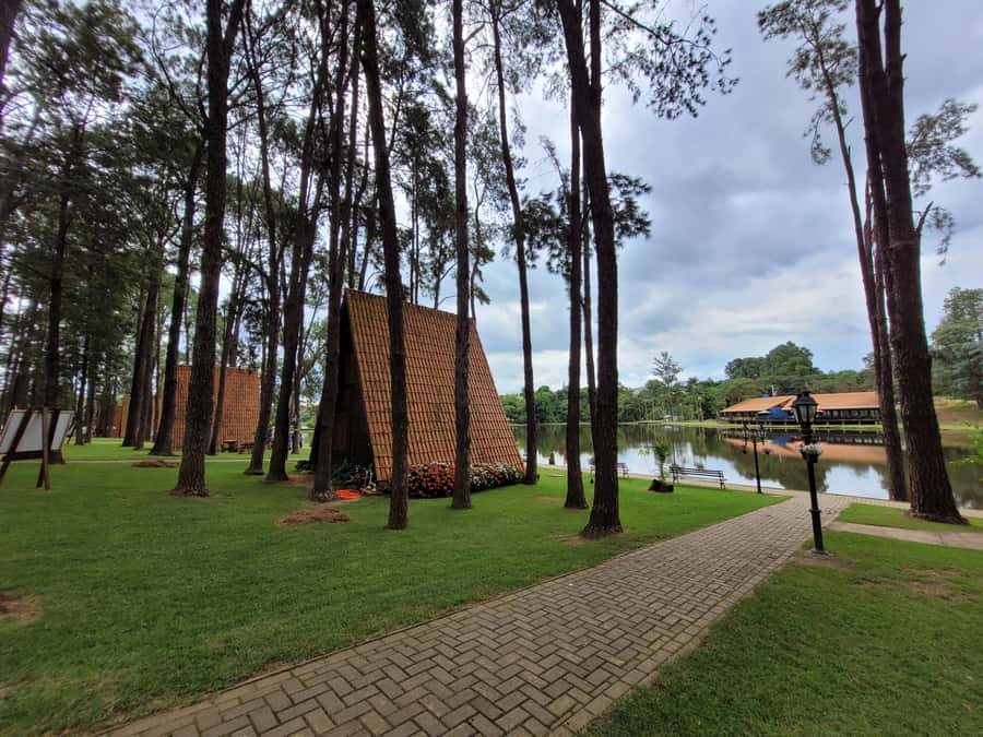 São Paulo: Holambra Colorful Flower Farm Guided Day Trip - Pickup rules that can affect your morning