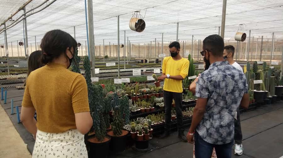 São Paulo: Holambra Colorful Flower Farm Guided Day Trip - The first look at Holambra’s Dutch story