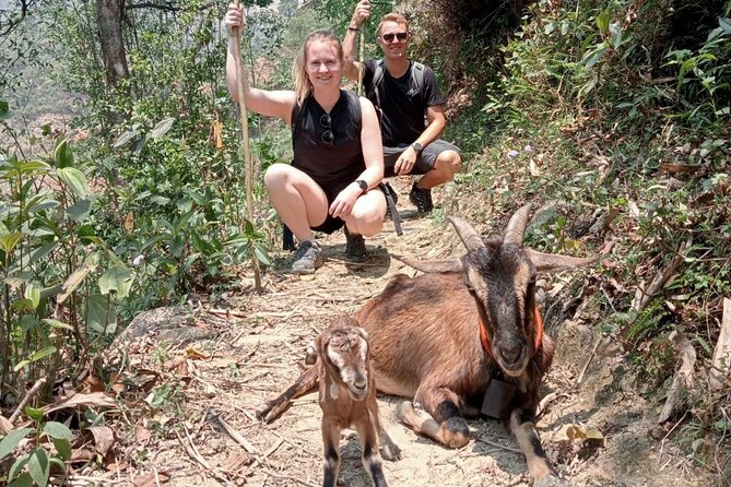 Sapa Half Day Local Farming Experience - Transport back to Sa Pa Stone Church