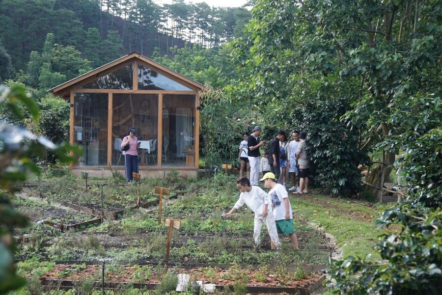 Scented candle workshop at Twin Beans Farm - Da Lat suburb - Mixing a scent that belongs to you