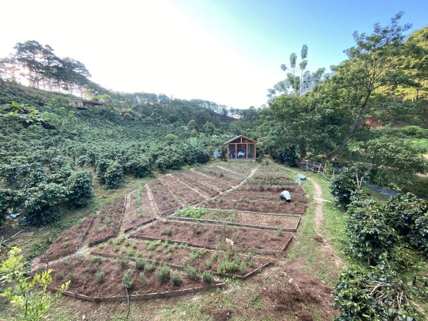 Scented candle workshop at Twin Beans Farm - Da Lat suburb - The farm setting and the extra time worth allowing