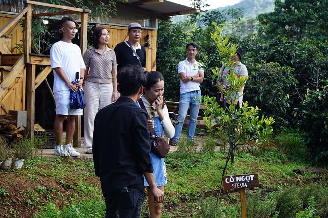 Scented Candle Workshop in Twin Beans Farm Da Lat - A look at Twin Beans Farm and the coffee side