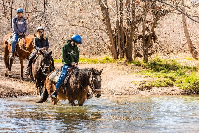 Sedona Horseback Rides At Dead Horse Ranch with River Crossing - Starting at Dead Horse Ranch State Park