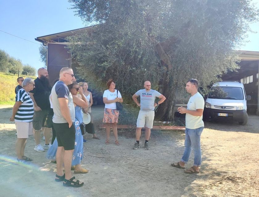 Seggiano: Typical Tuscan Farm Tour with Olive Oil Tasting - Who will enjoy this experience most?