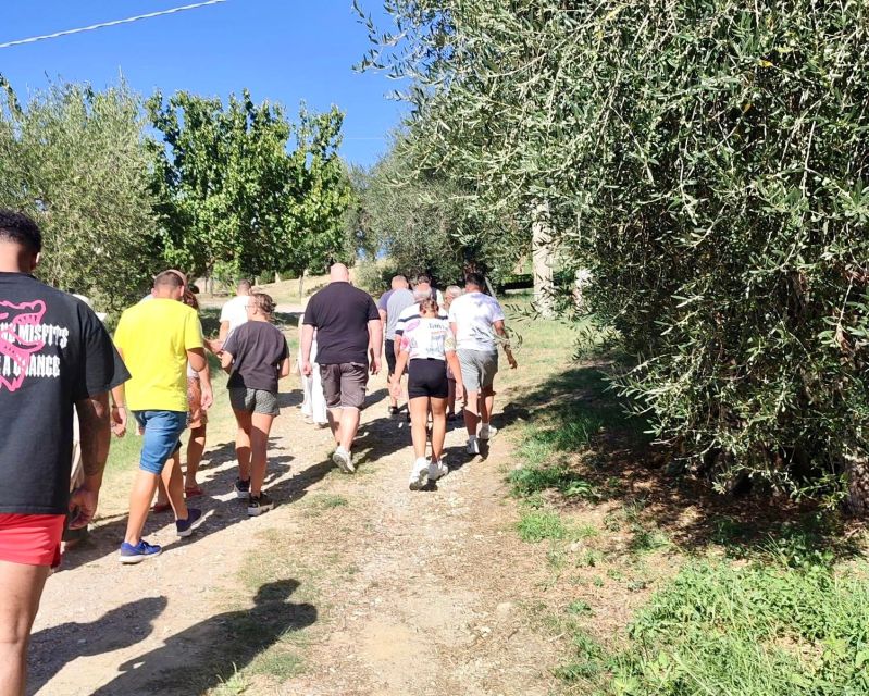 Seggiano: Typical Tuscan Farm Tour with Olive Oil Tasting - Getting to the farm without losing time
