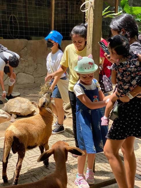 Selangor: Farm In The City Entry Ticket - Meeting animals without losing the farm setting