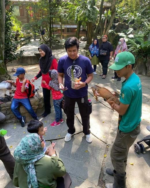 Selangor: Farm In The City Entry Ticket - Picking the right arrival time