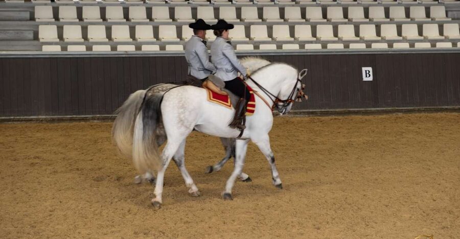 Seville: Horse's Show Entry Ticket. Optional Stud Farm Visit - Key points to know before booking