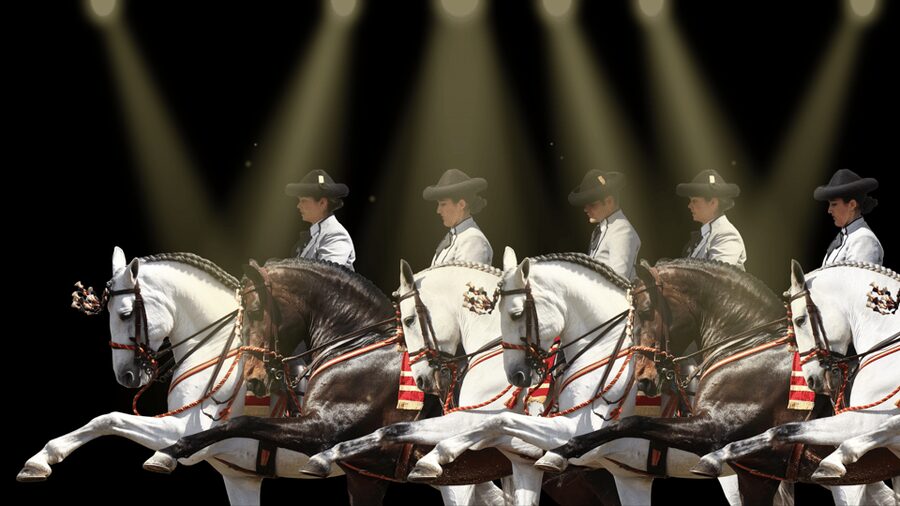 Seville: Horse's Show Entry Ticket. Optional Stud Farm Visit - My booking advice