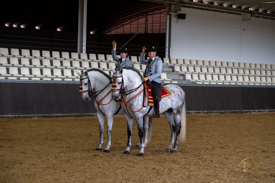 Seville: Horse's Show Entry Ticket. Optional Stud Farm Visit - Traditions, the show that ties it together