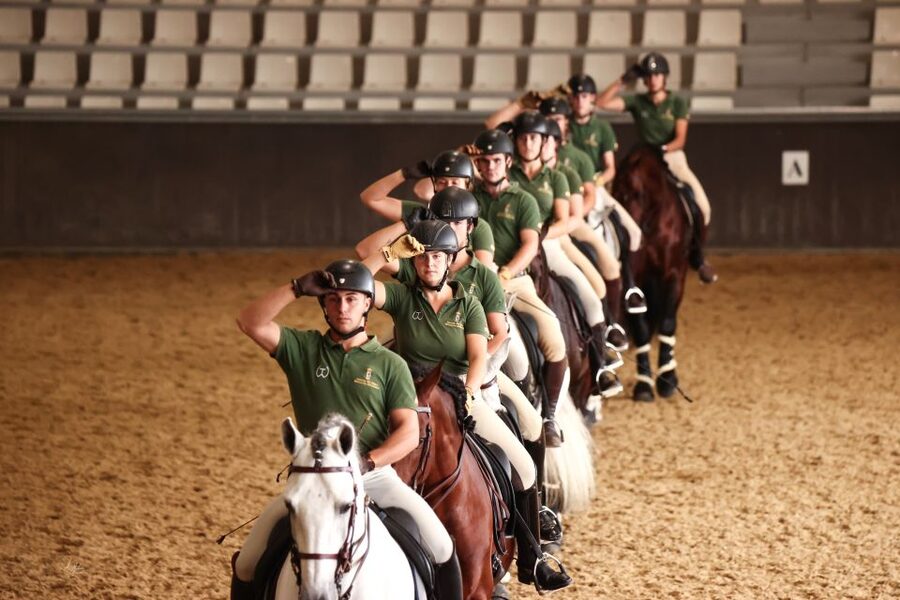 Seville: Horse's Show Entry Ticket. Optional Stud Farm Visit - Timing, languages, and the practical details