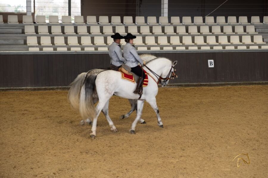Seville: Horse's Show Entry Ticket. Optional Stud Farm Visit - Arriving at the ranch and finding the entrance