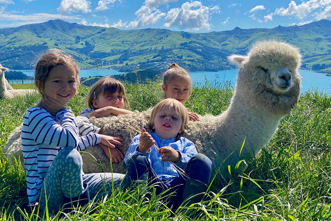 Shamarra Alpaca Farm Tours - The guides make the visit more useful