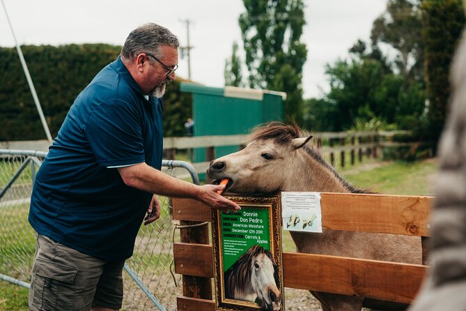 Sheep Farm Day Trip from Christchurch + Lunch and Winery visit. - Waipara wine at Georges Road Wines