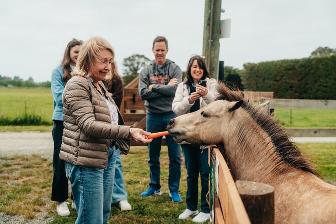 Sheep Farm Day Trip from Christchurch + Lunch and Winery visit. - Should you book the Glenafric farm day?