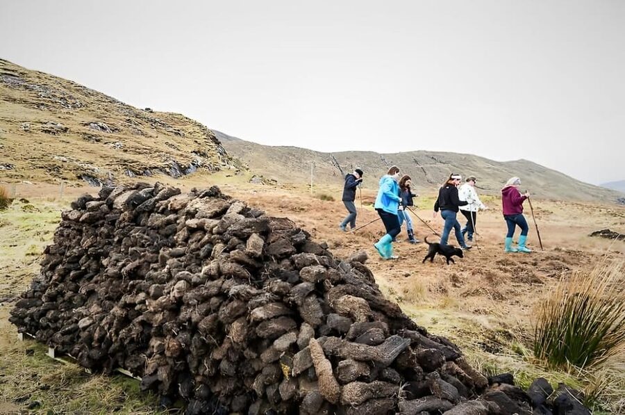Sheepdog herding demo on working sheep farm. Galway. Guided. - Trying the slean in the bog