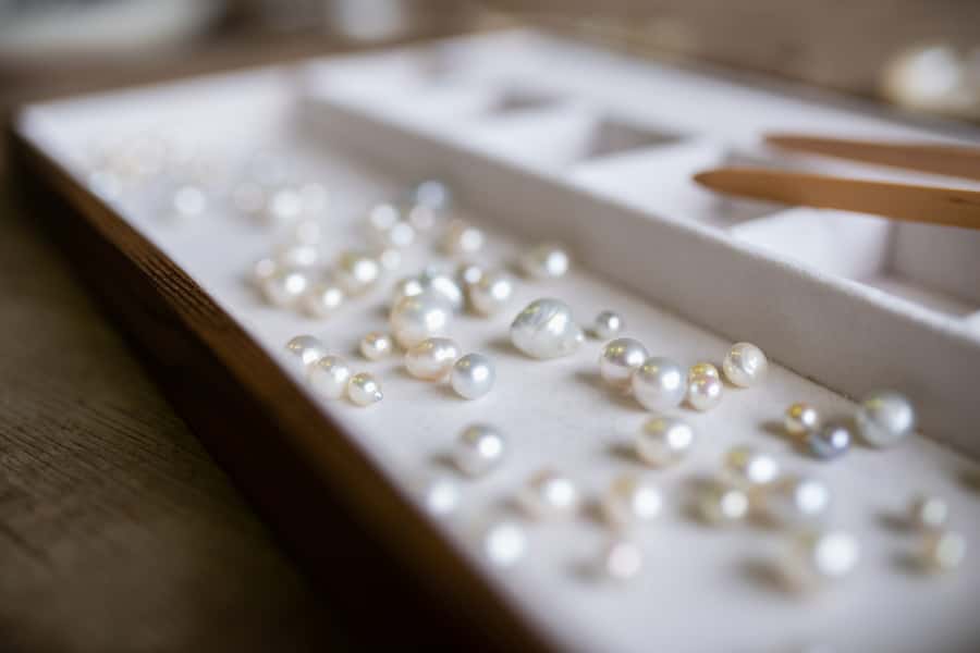 Shell to Showroom - Sydney's only Pearl Farm Experience - Key points at a glance