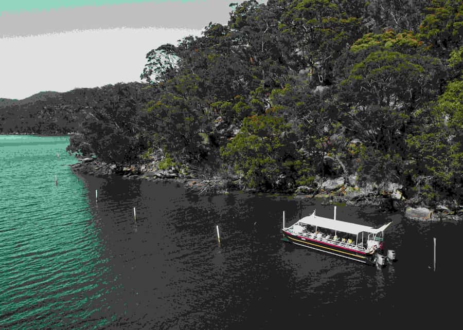 Shell to Showroom - Sydney's only Pearl Farm Experience - Who will enjoy this experience most