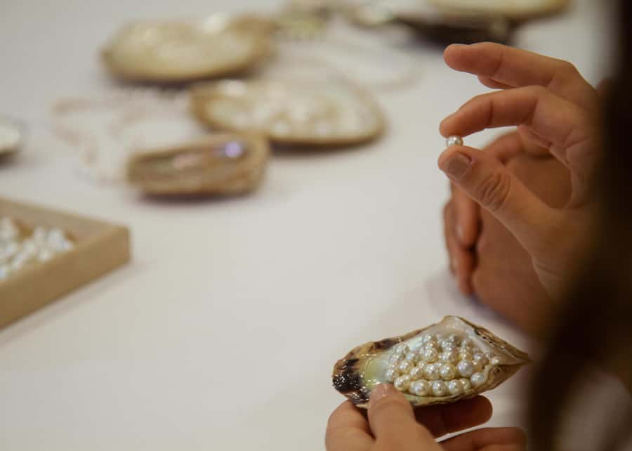 Shell to Showroom - Sydney's only Pearl Farm Experience - Practical advice before you go