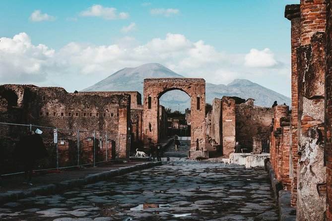 Shore excursion Guided Tour of Pompeii Ruins and Sorrento with a Farmhouse Lunch - How the private format affects the value