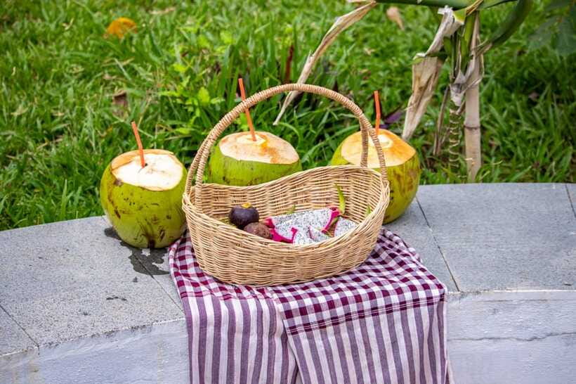 Siem Reap: Khmer Water Blessing by Monk and Lotus Farm Visit - What the $55 price includes