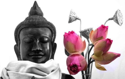 Siem Reap Lotus Silk Farm Discovery tour & Lake experience