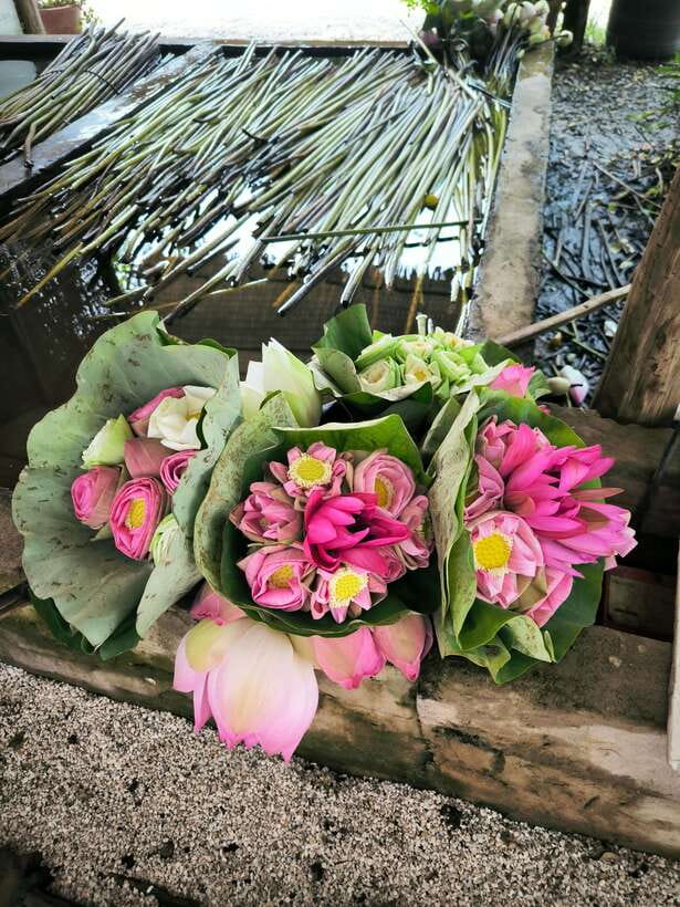 Siem Reap Lotus Silk Farm Discovery tour & Lake experience - The Boutique and the Meaning Behind the Price