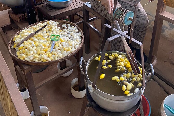 Siem Reap: Silk Farm & Countryside Offbeat Jeep Tour - Learning how Cambodian silk is made by hand