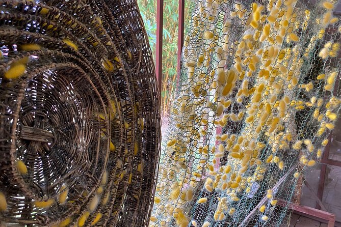 Siem Reap: Silk Farm & Countryside Offbeat Jeep Tour - What the $55 price includes