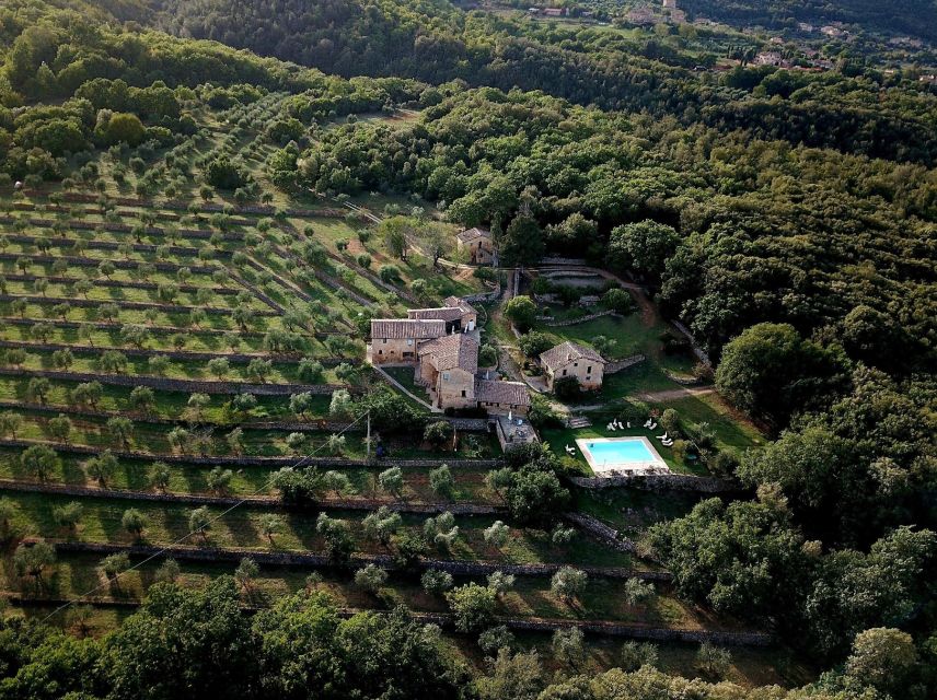 Siena countryside: cooking class in a real Tuscan farmhouse - Should you book Agriturismo Il Caggio?